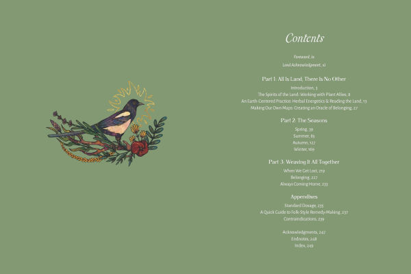 The Apothecary of Belonging: Seasonal Rituals and Practical Herbalism