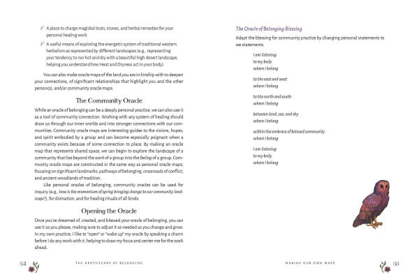 The Apothecary of Belonging: Seasonal Rituals and Practical Herbalism