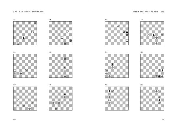 Chess: 5334 Problems, Combinations and Games
