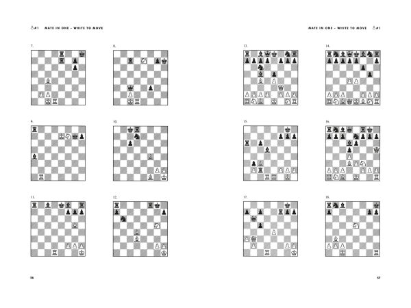 Chess: 5334 Problems, Combinations and Games