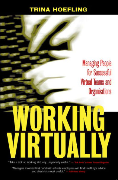 Working Virtually / Edition 1