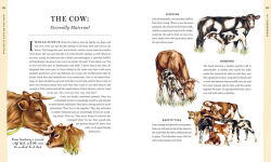 Alternative view 6 of Do Unto Animals: A Friendly Guide to How Animals Live, and How We Can Make Their Lives Better