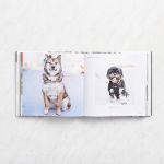 Alternative view 13 of The Dogist: Photographic Encounters with 1,000 Dogs