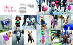 Alternative view 3 of The Dogist: Photographic Encounters with 1,000 Dogs