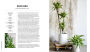 Alternative view 12 of Decorating with Plants: What to Choose, Ways to Style, and How to Make Them Thrive