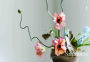 Alternative view 4 of Ikebana Unbound: A Modern Approach to the Ancient Japanese Art of Flower Arranging