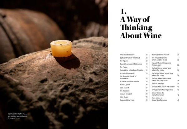 The World of Natural Wine: What It Is, Who Makes It, and Why It Matters