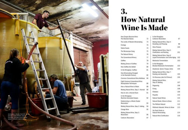 The World of Natural Wine: What It Is, Who Makes It, and Why It Matters