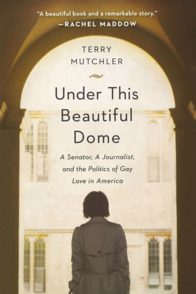 Under This Beautiful Dome: A Senator, Journalist, and the Politics of Gay Love America