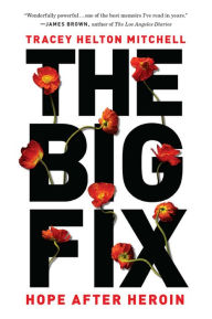 Title: The Big Fix: Hope After Heroin, Author: Tracey Helton Mitchell