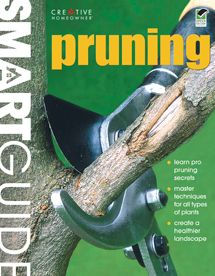 Smart Guide®: Pruning