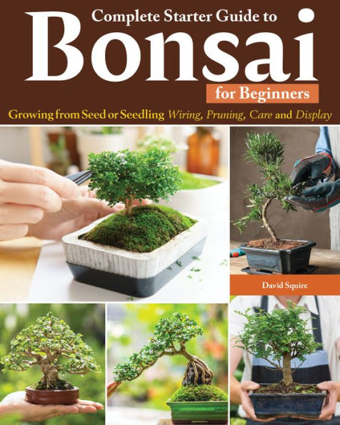 Complete Starter Guide to Bonsai for Beginners: Growing from Seed or Seedling--Wiring, Pruning, Care, and Display