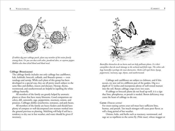 Carrots Love Tomatoes: Secrets of Companion Planting for Successful Gardening