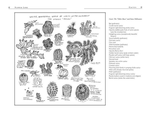 Roses Love Garlic: Companion Planting and Other Secrets of Flowers