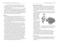 Alternative view 6 of Roses Love Garlic: Companion Planting and Other Secrets of Flowers