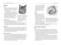 Alternative view 8 of Roses Love Garlic: Companion Planting and Other Secrets of Flowers