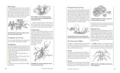 Alternative view 8 of The Gardener's A-Z Guide to Growing Flowers from Seed to Bloom: 576 annuals, perennials, and bulbs in full color