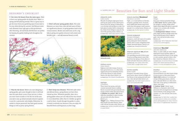 The Perennial Gardener's Design Primer