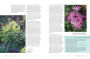 Alternative view 10 of The Perennial Gardener's Design Primer