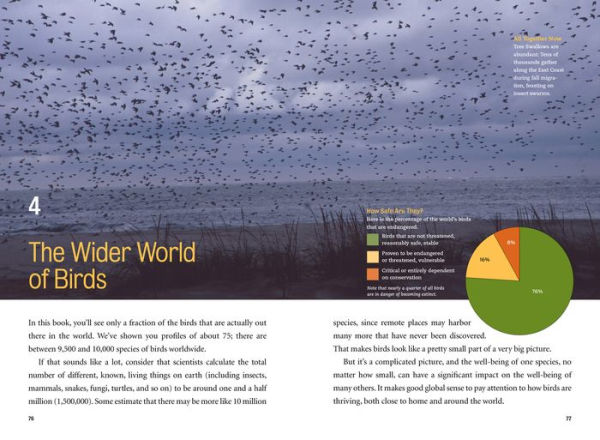 What's That Bird?: Getting to Know the Birds Around You, Coast to Coast