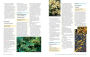 Alternative view 2 of The Homeowner's Complete Tree & Shrub Handbook: The Essential Guide to Choosing, Planting, and Maintaining Perfect Landscape Plants