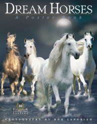 Title: Dream Horses: A Poster Book, Author: Deborah Burns