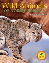 Title: Wild Animals of North America, Author: Karl Meyer