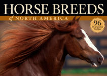 Alternative view 2 of Horse Breeds of North America: The Pocket Guide to 96 Essential Breeds