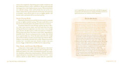 Alternative view 8 of Organic Body Care Recipes: 175 Homeade Herbal Formulas for Glowing Skin & a Vibrant Self