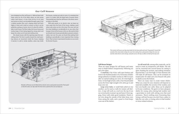 Essential Guide to Calving: Giving Your Beef or Dairy Herd a Healthy Start