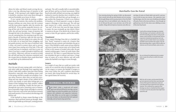 Essential Guide to Calving: Giving Your Beef or Dairy Herd a Healthy Start