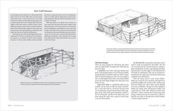 Essential Guide to Calving: Giving Your Beef or Dairy Herd a Healthy Start