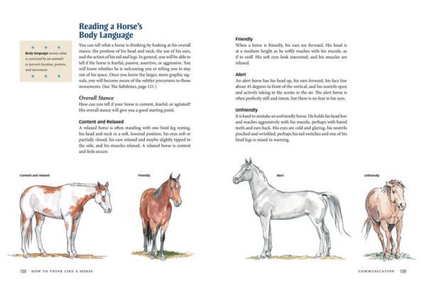 How to Think Like a Horse: The Essential Handbook for Understanding Why Horses Do What They Do