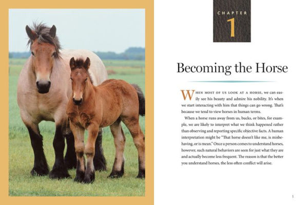 How to Think Like a Horse: The Essential Handbook for Understanding Why Horses Do What They Do