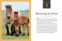 Alternative view 13 of How to Think Like a Horse: The Essential Handbook for Understanding Why Horses Do What They Do