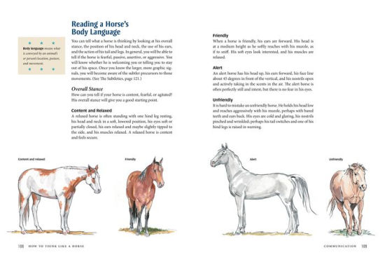 How To Think Like A Horse The Essential Handbook For