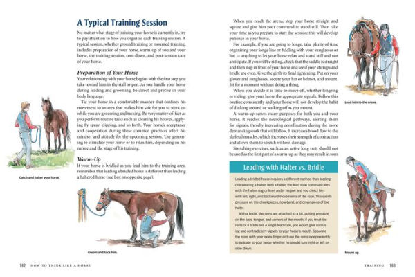 How to Think Like a Horse: The Essential Handbook for Understanding Why Horses Do What They Do