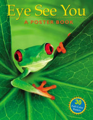 Title: Eye See You: A Poster Book, Author: Deborah L. Balmuth