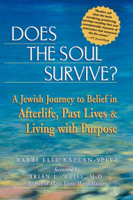 Title: Does the Soul Survive?: A Jewish Journey to Belief in Afterlife, Past Lives & Living with Purpose, Author: Elie Kaplan Spitz