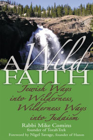 Title: A Wild Faith: Jewish Ways into Wilderness, Wilderness Ways into Judaism, Author: Mike Comins