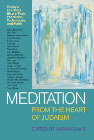 Title: Meditation from the Heart of Judaism: Today's Teachers Share Their Practices, Techniques, and Faith, Author: Avram Davis