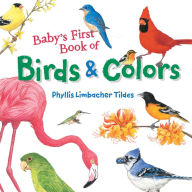 Title: Baby's First Book of Birds & Colors, Author: Phyllis Limbacher Tildes