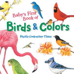 Alternative view 1 of Baby's First Book of Birds & Colors