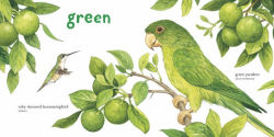 Alternative view 4 of Baby's First Book of Birds & Colors