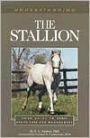 Understanding the Stallion: Your Guide to Horse Health Care and Management