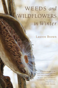 Title: Weeds and Wildflowers in Winter, Author: Lauren Brown