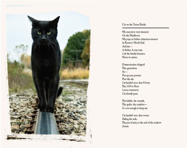 Poetry from Scratch: A Kitten's Book of Verse