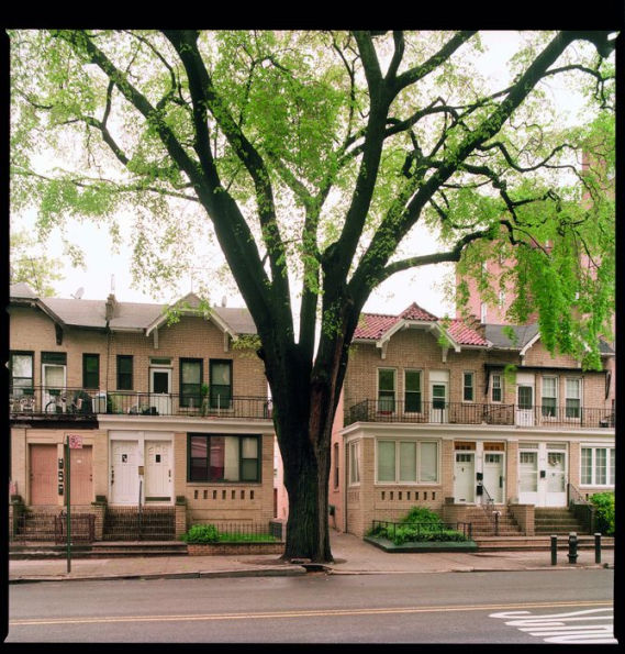 Trees of New York City