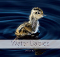 Title: Water Babies: The Hidden Lives of Baby Wetland Birds, Author: William Burt