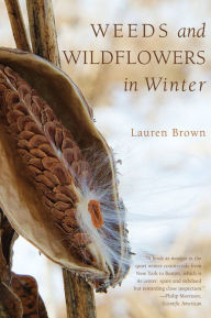 Title: Weeds and Wildflowers in Winter, Author: Lauren Brown